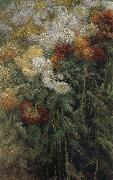 The chrysanthemum in the garden Gustave Caillebotte